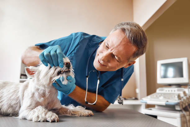 Best Broken Tooth Emergency  in Richton Park, IL